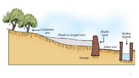 Chapter 16 Sustainable Management Of Natural Resources Science