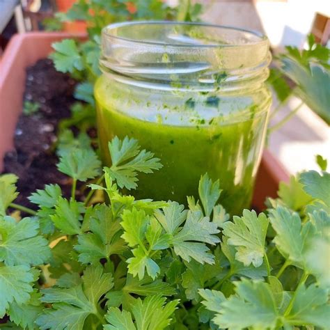 Come Fare L Olio Al Prezzemolo Rita Amordicucina Ricetta