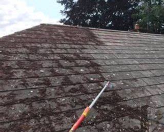 Roof Moss Removal Jt Napper Installations