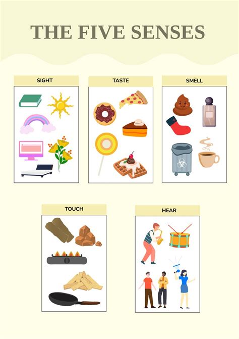 Five Senses Pocket Chart In Illustrator Pdf Download