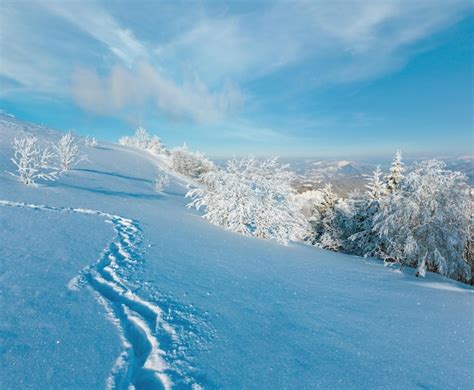 Premium Photo | Winter mountain snowy landscape