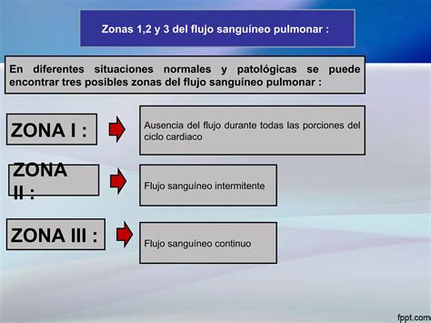 Circulación Pulmonar edema pulmonar y líquido pleural Guyton PPT