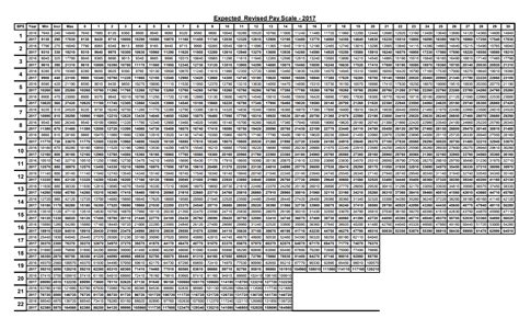 Basic Pay Scale Chart Pakistan Liva Sherry