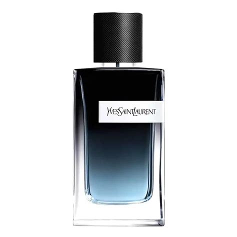 Yves Saint Laurent Y EDP 100ML – Niche Gallery