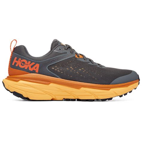 Hoka Challenger Atr Gtx Trailrunningschuhe Herren