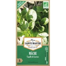 Sachets De Graines M Che Coquille De Louviers Ab M Che Comestible