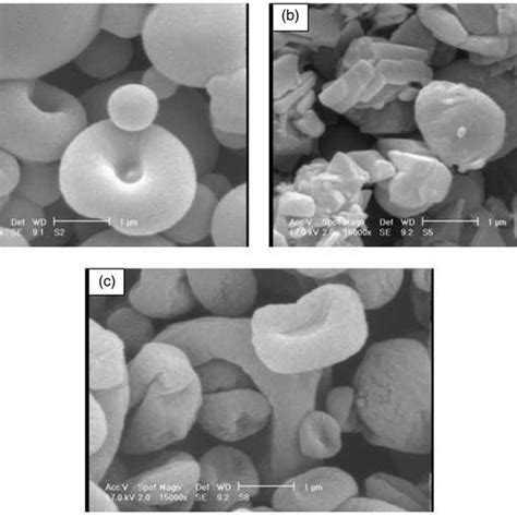 The Sem Photographs Of Spray Dried Microparticles Containing Lactose