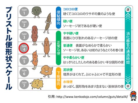 便秘を解消するために知っておくべき排便の仕組み オムツマン 排せつの学校