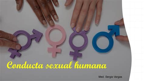 Conducta Sexual Humana Human Sexual Behavior Youtube