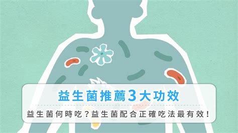 益生菌推薦3大功效，益生菌何時吃？破解益生菌ppt常見問題｜方格子 Vocus