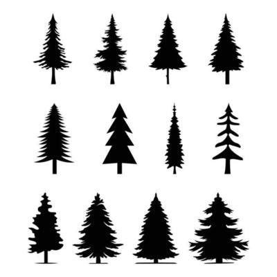 Tall Pine Tree Silhouette Vector Art, Icons, and Graphics for Free Download