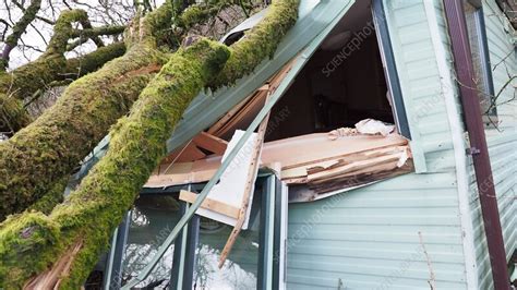 Storm Arwen damage, Lake District, UK, December 2021 - Stock Video Clip ...