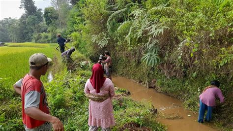 Suasana Damai Di Desa Aktivitas Pagi Di Kampung Lereng Pegunungan