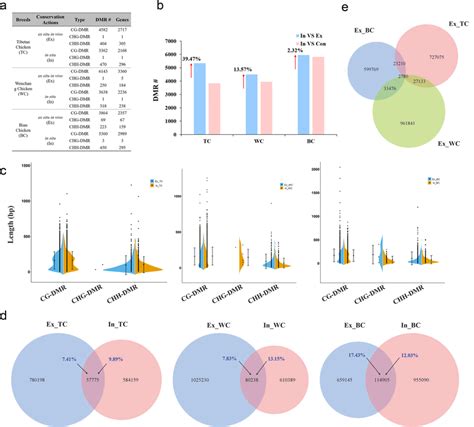 Differentially Methylated Regions DMRs During In Situ In And Ex