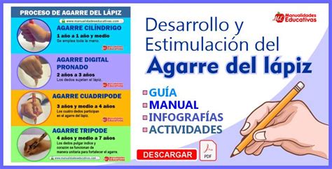 Desarrollo Y Estimulaci N Del Agarre Del L Piz