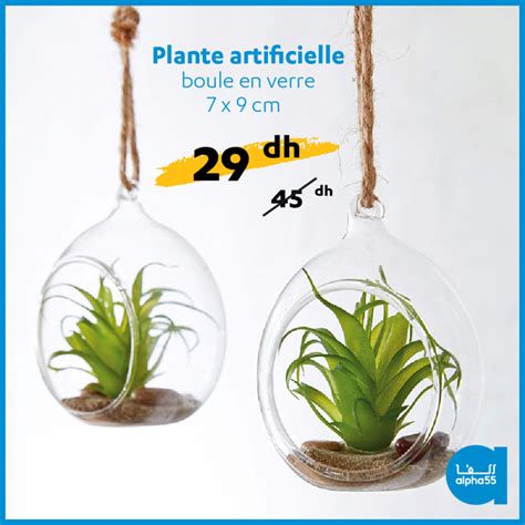 Soldes Alpha55 Plante Artificielle Boule En Verre 29Dhs