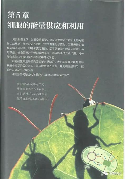 【新版教材】2020最新人教版高中生物教材必修一电子课本 知乎