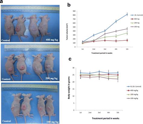 In Vivo Antitumor Activity In Nude Mice Induced With HCT Tumor At