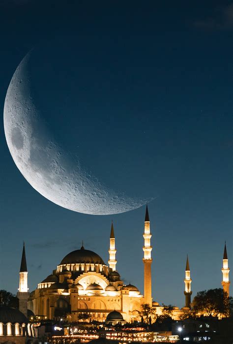 Route 724 Bus Service: London and South East Travel Guide