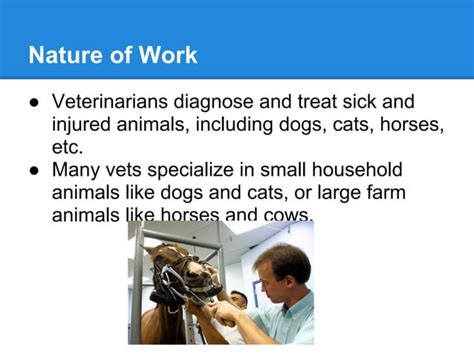 Veterinary Slideshow Presentation Of Career