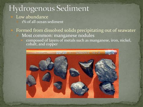 Biogenous Sediment / PPT - Ocean Basins PowerPoint Presentation - ID ...