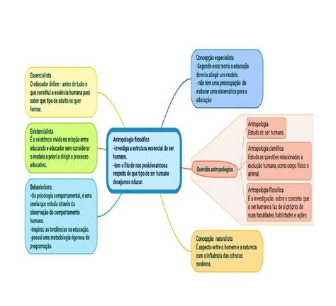 Teoria do Conhecimento O que diz Aristóteles e Platão Resumo