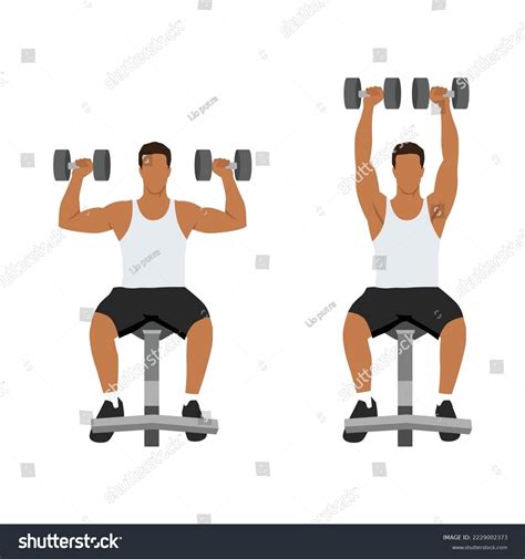 Man Doing Seated Dumbbell Overhead Shoulder Royalty Free Stock Vector 2229002373