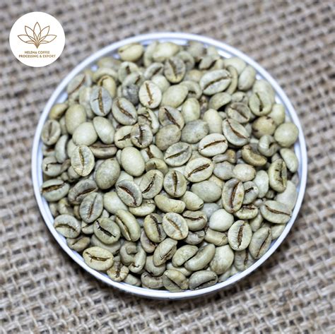 Robusta Coffee Supplier - Vietnamese Robusta Green Coffee Beans