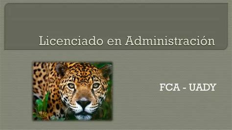 Ppt Licenciado En Administración Powerpoint Presentation Free