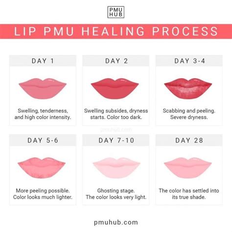 Lip Blush Healing Process Day By Day Timeline And Stages