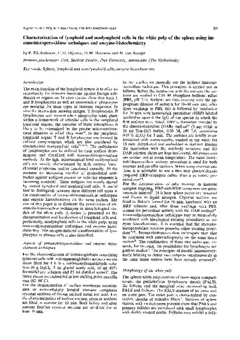 (PDF) Characterization of lymphoid and nonlymphoid cells in the white pulp of the spleen using ...