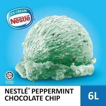 Nestl Peppermint Chocolate Ice Cream