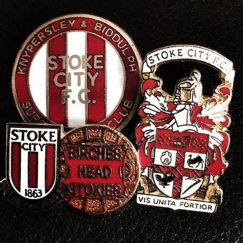 Pin On Stoke City Fc