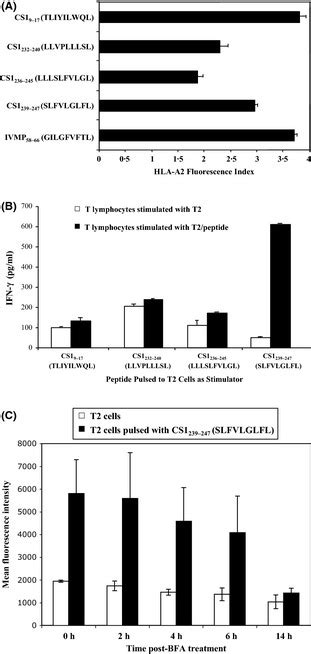 Hla A2 Affinity And Immunogenicity Of Cs1 Peptide A Cs1 Peptide