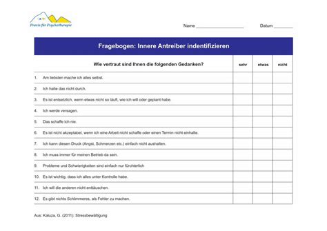 PDF Fragebogen Innere Antreiber Indentifizieren TU PDF