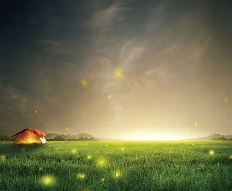 Night Sky Fireflies Grass Background PNG, Clipart, Background, Fireflies, Grass, Night, Sky Free ...