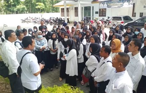 Ratusan Guru Lulus Seleksi Pppk Datangi Kantor Bkd Langkat Tuntut