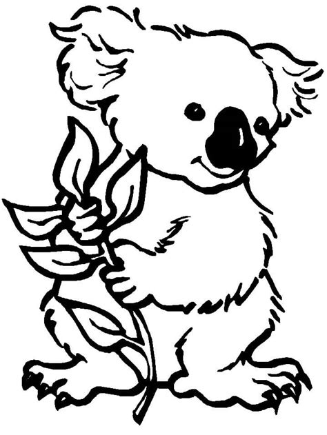 Dibujos De Koala Para Colorear E Imprimir Coloringonlycom