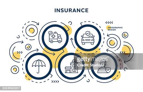 Insurance Infographic Design High-Res Vector Graphic - Getty Images