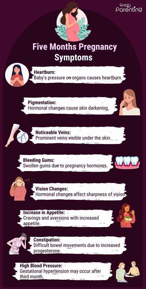 Months Pregnant Symptoms And Fetal Development Pampers 59 Off