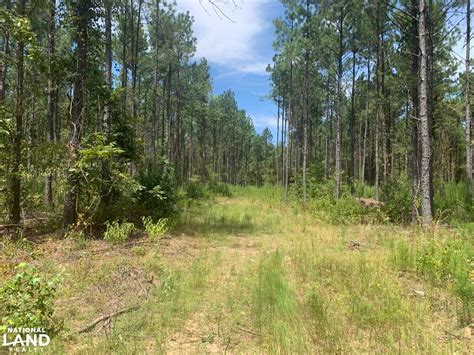 Grayson La Salle Parish La Timberland Property Undeveloped Land Hunting Property For Sale