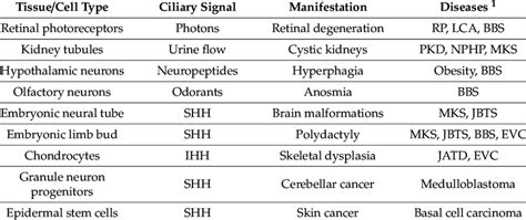 Primary cilia and human diseases. | Download Scientific Diagram