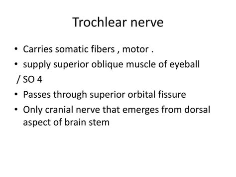 Nerve Supply Of Face 1 Ppt Free Download