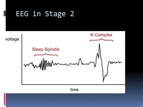 Ppt The Science Of Sleep Powerpoint Presentation Free Download Id