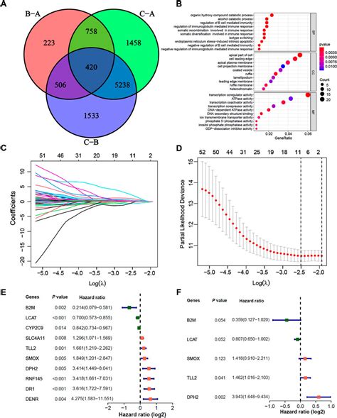 Frontiers Construction Of M6a Based Prognosis Signature And