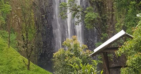 Circuit des chutes d eau du café et des sources thermales de Materuni