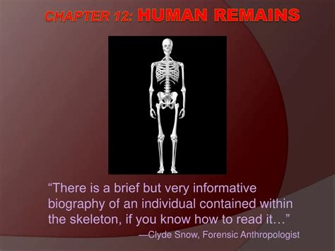 Ppt Chapter 12 Human Remains Powerpoint Presentation Free Download Id 8790516