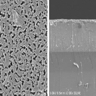 Surface Left And Cross Sectional Right FE SEM Image Of PSi