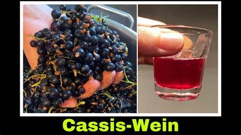 Schwarzer Johannisbeerwein Rezept Cassis Wein Herstellen