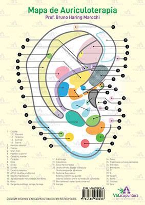 Mapa Da Auriculoterapia